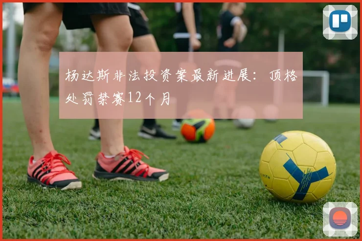 杨达斯非法投资案最新进展：顶格处罚禁赛12个月