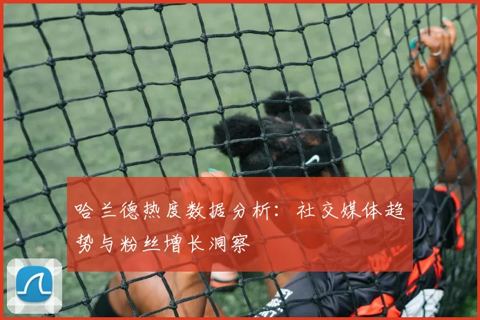 哈兰德热度数据分析：社交媒体趋势与粉丝增长洞察